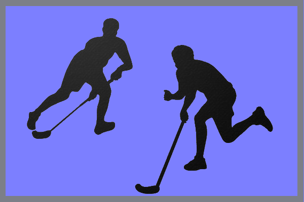 Mladí florbalisti bojovali ve Skutči